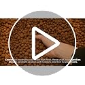 Clay Pebbles for Hydroponics - Eco-Friendly Growing Medium (1L)