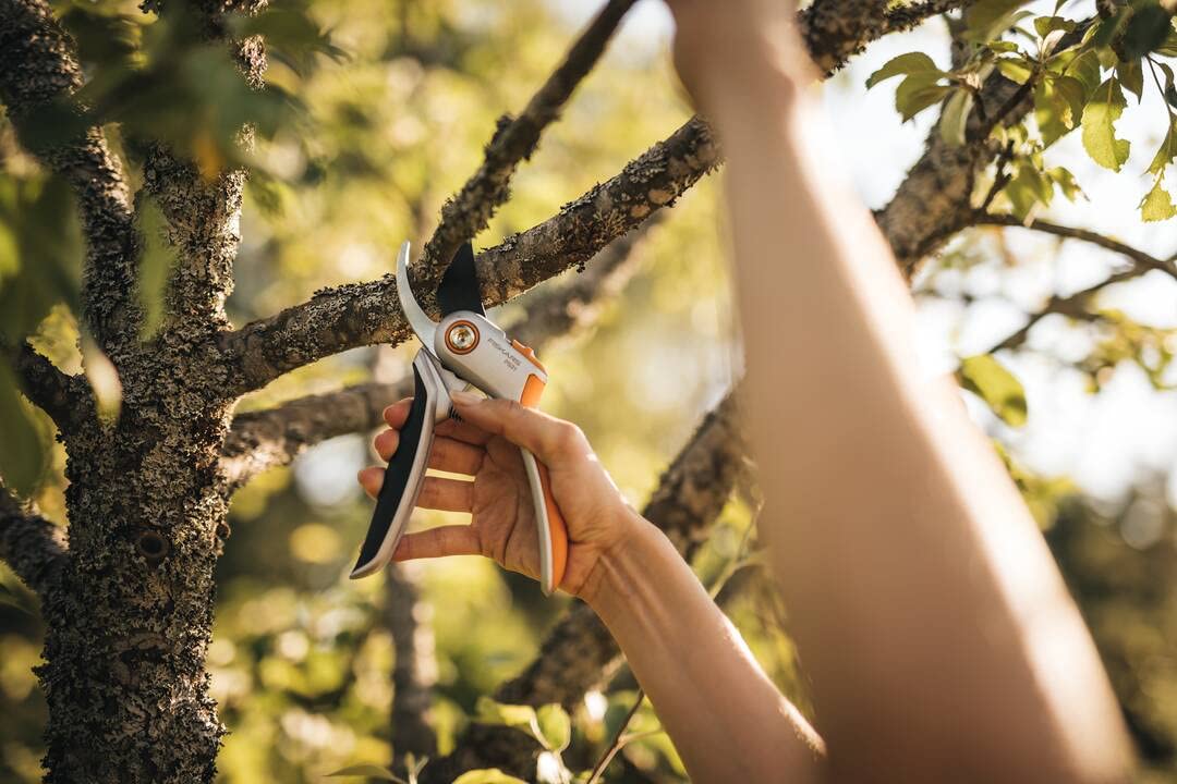 Fiskars Plus Metal Bypass Secateurs – Ergonomic Silver Pruning Shears