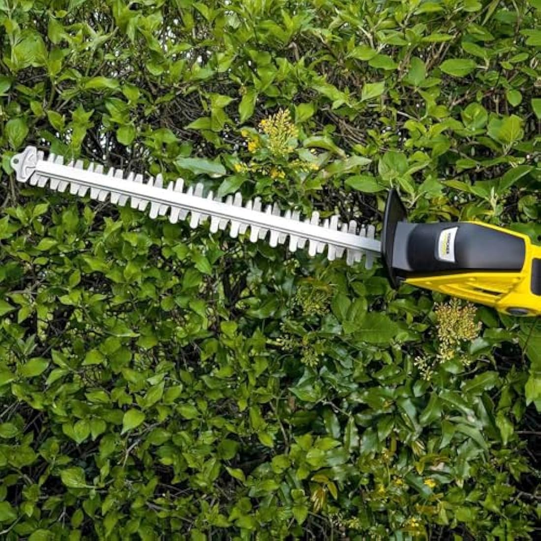 Kärcher PHG 18-45 Cordless Pole Hedge Trimmer – 45cm Blade, 4m Reach
