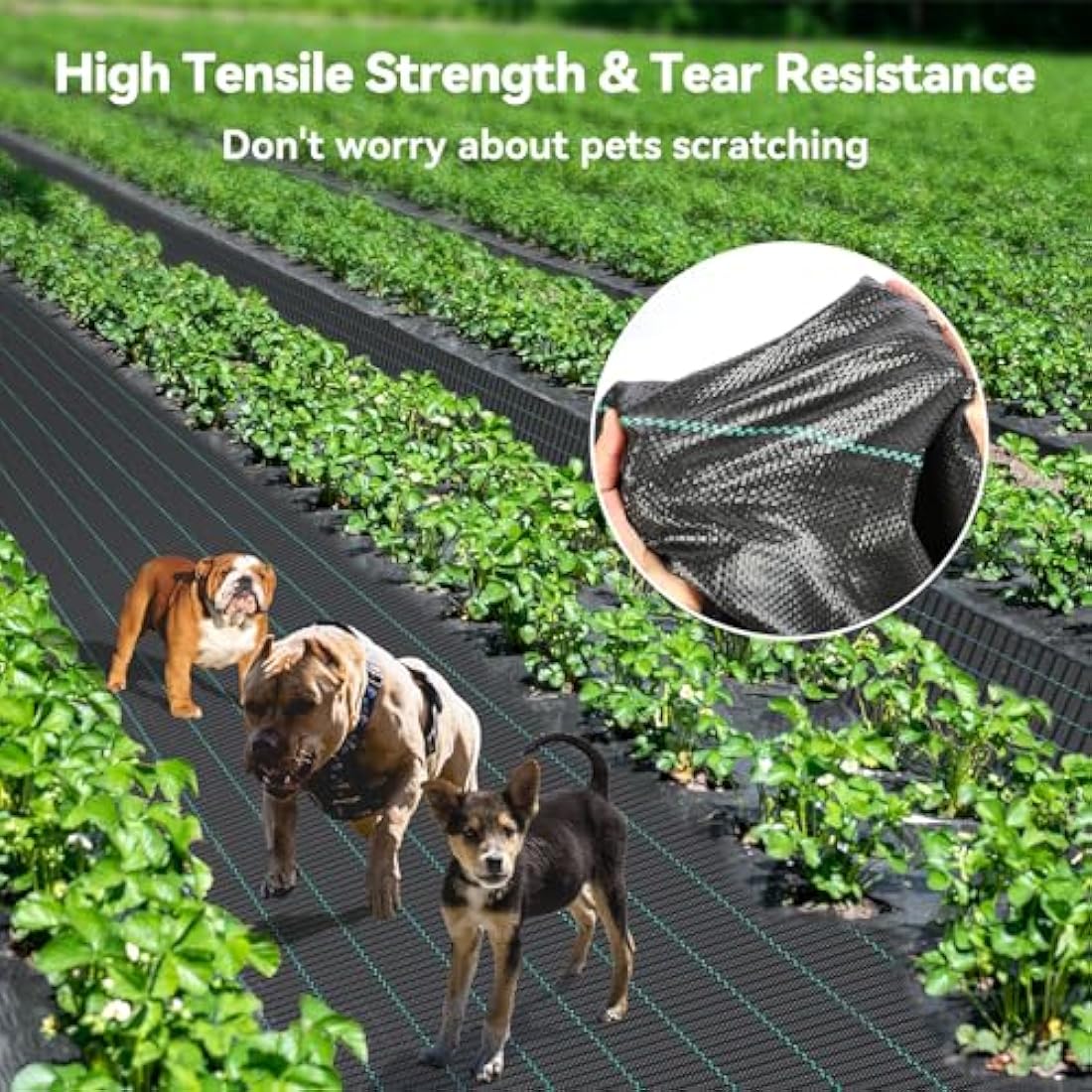 iropro Heavy Duty Weed Control Membrane – 3m x 10m Woven Ground Cover