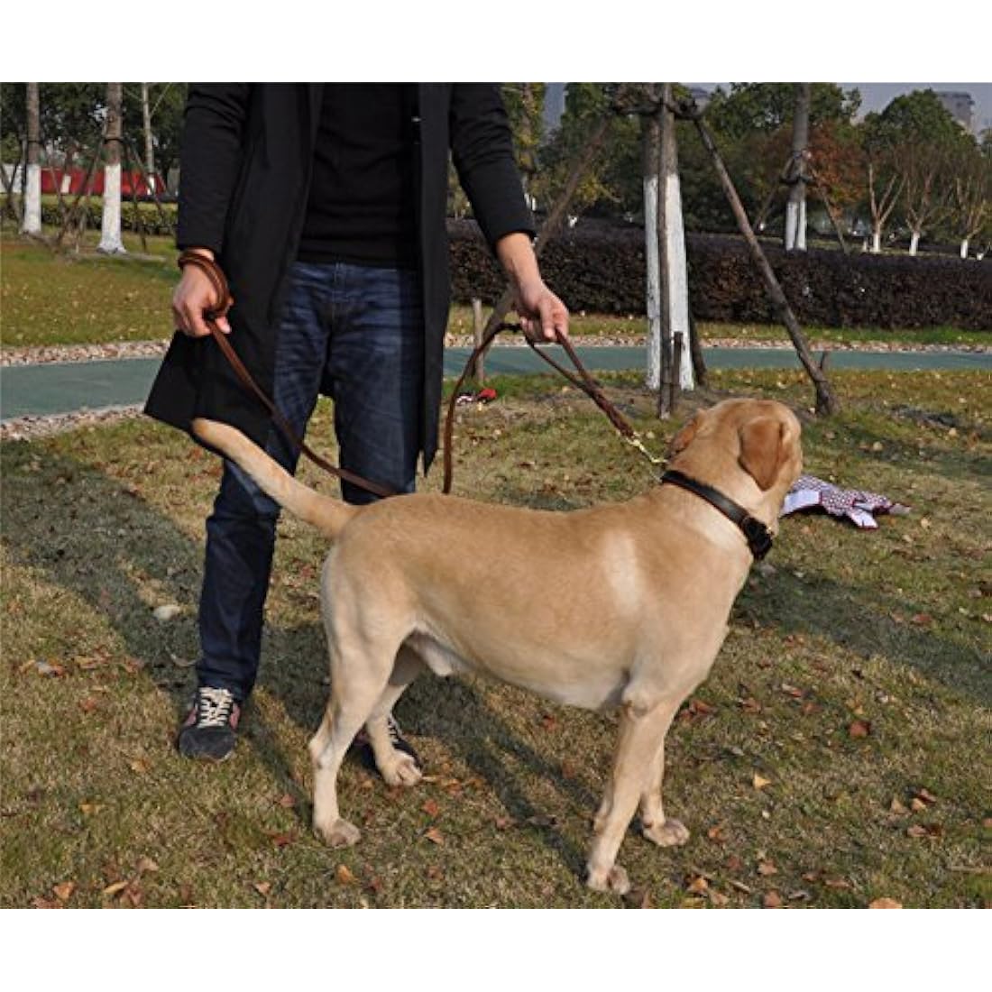 Braided Leather Dog Leash – Double Handle 6ft Training Lead