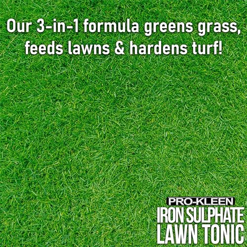 Pro-Kleen Iron Sulphate Lawn Tonic - Liquid Grass Fertilizer (5 Litres)