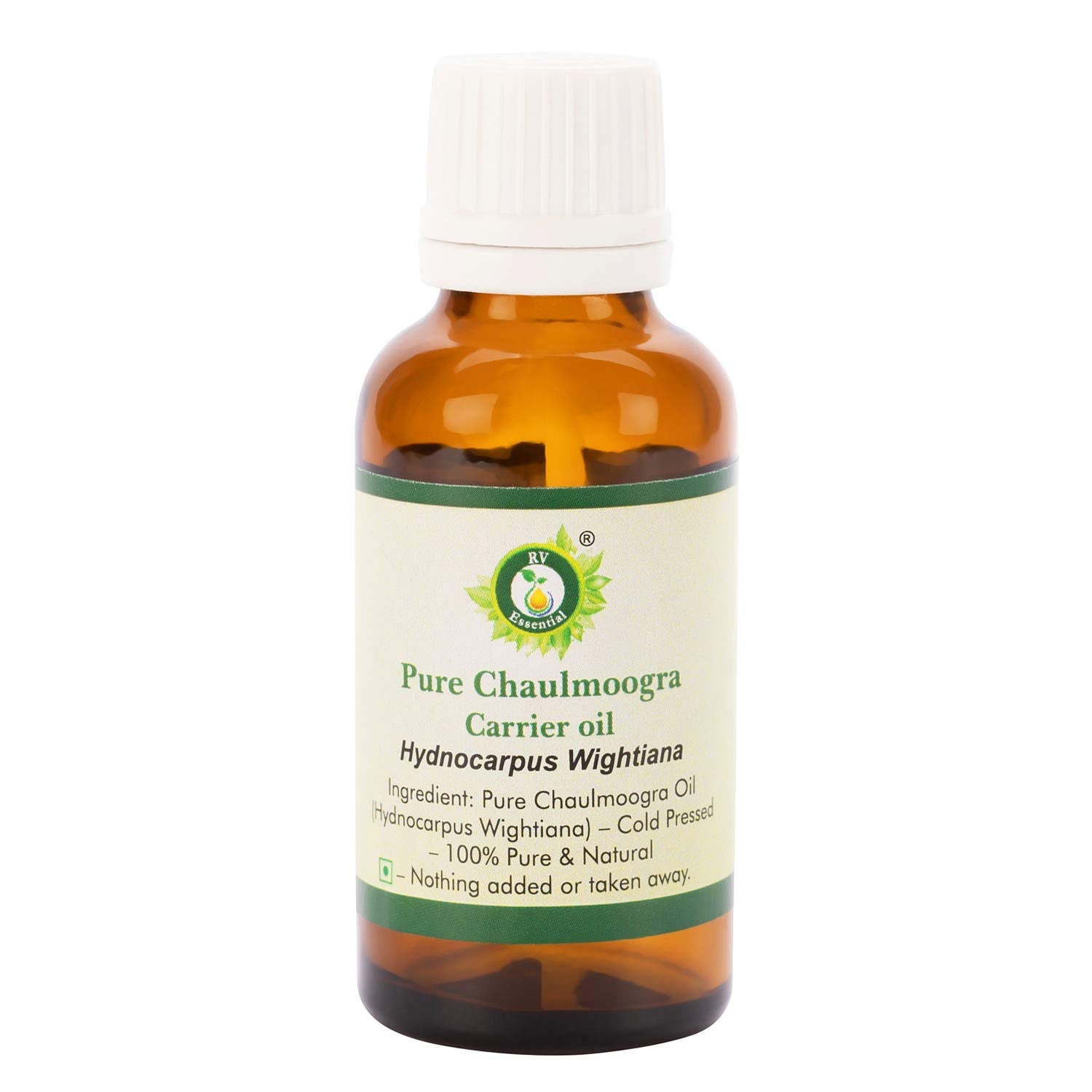 R V Essential Chaulmoogra Carrier Oil – 100% Pure Cold Pressed 50ml