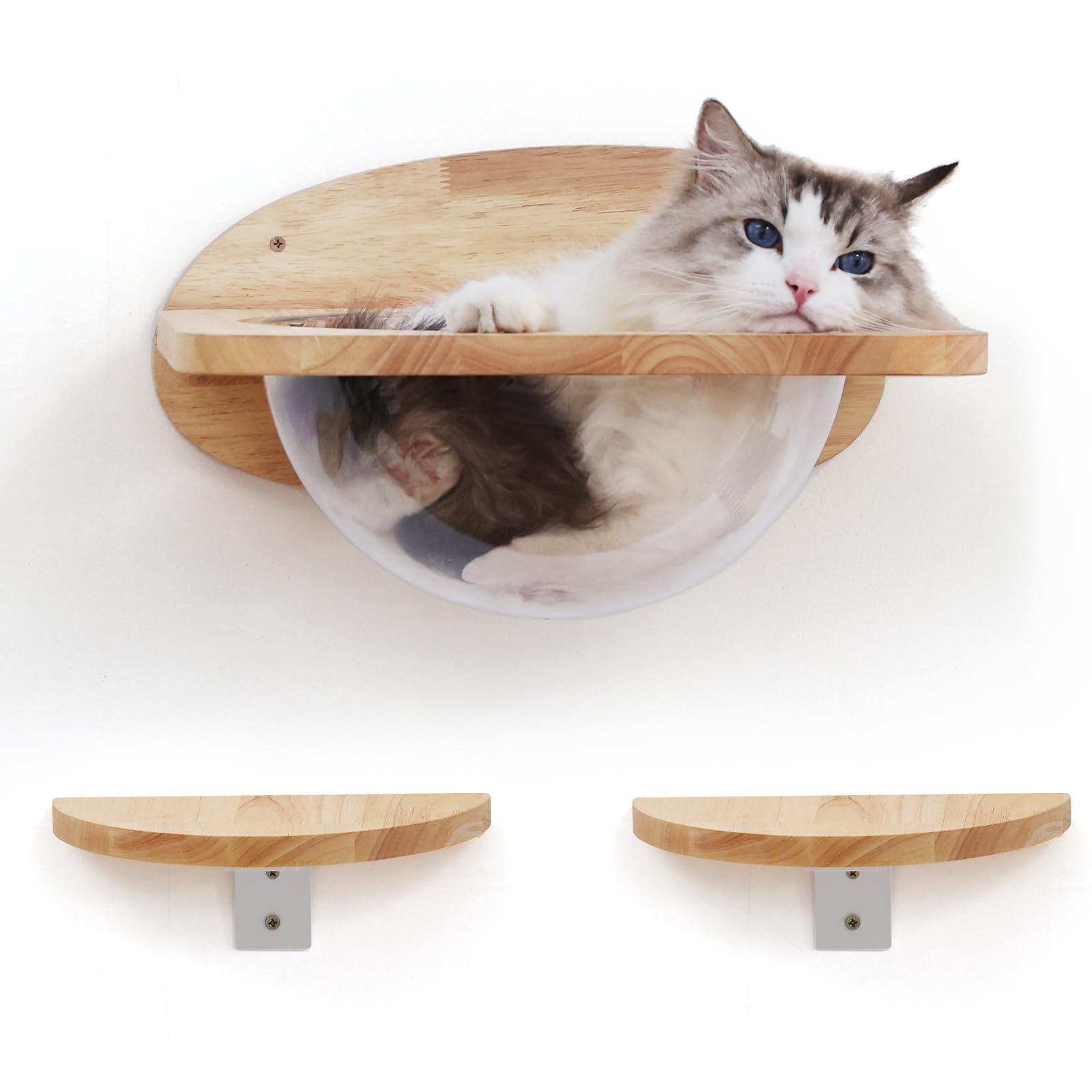 FUKUMARU Cat Wall Furniture Set - Rubber Wood Shelf with Clear Capsule