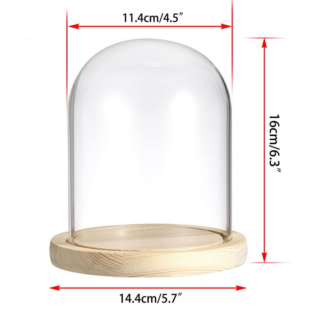 SUMNACON Glass Display Cloche Dome with Solid Wooden Base, 11.4*15cm