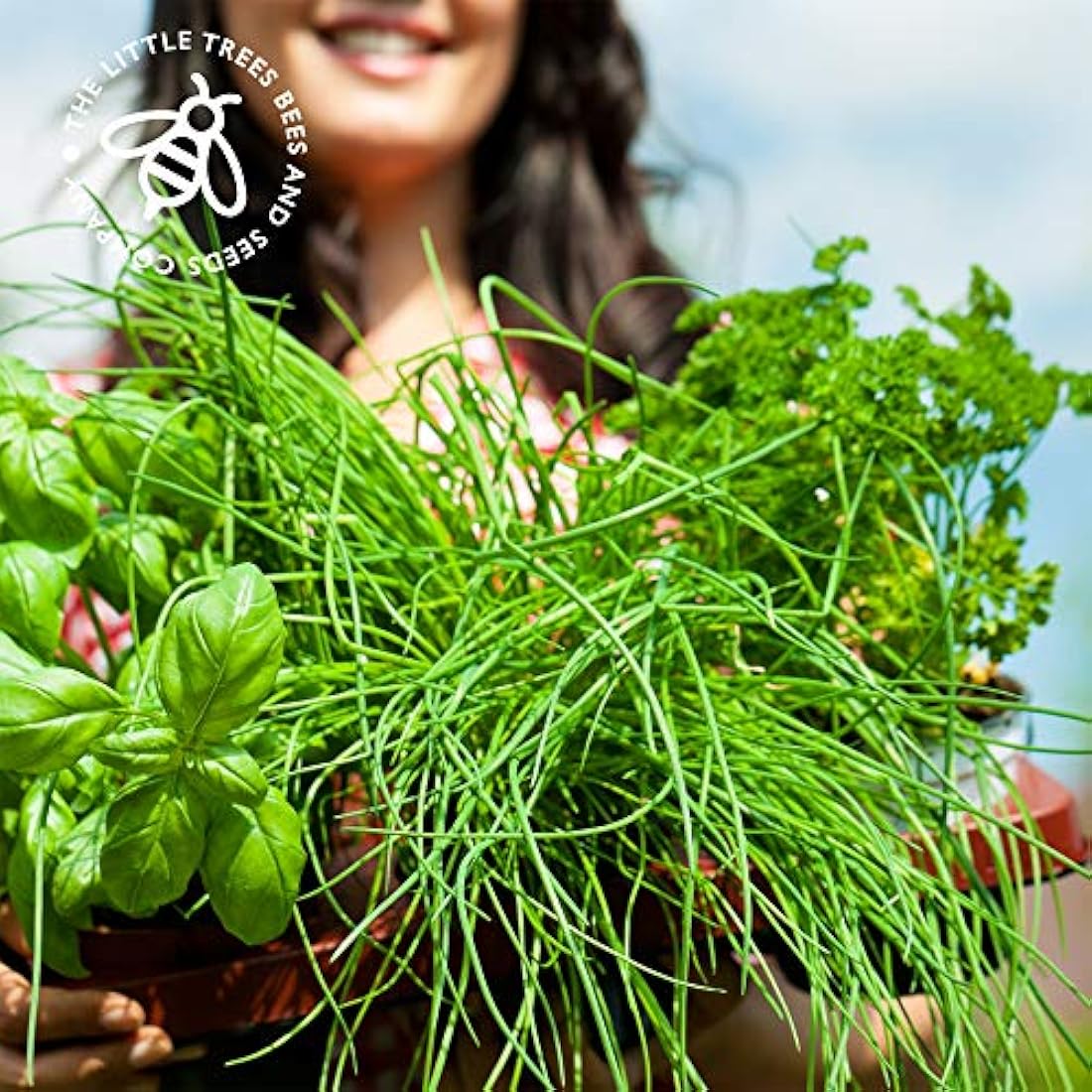Jolof Store 15 Herb Seed Varieties Kit – Non-GMO Indoor & Outdoor Garden
