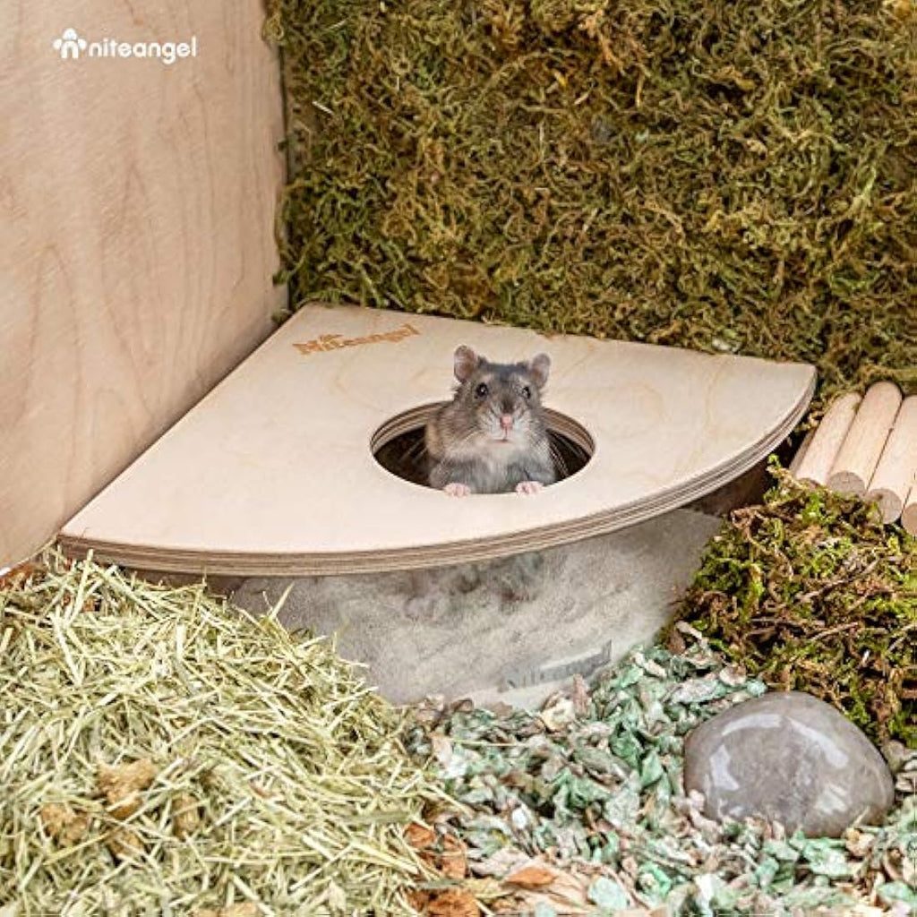 Niteangel Acrylic Hamster Sand Bath Box – Fan-Shaped Digging Container