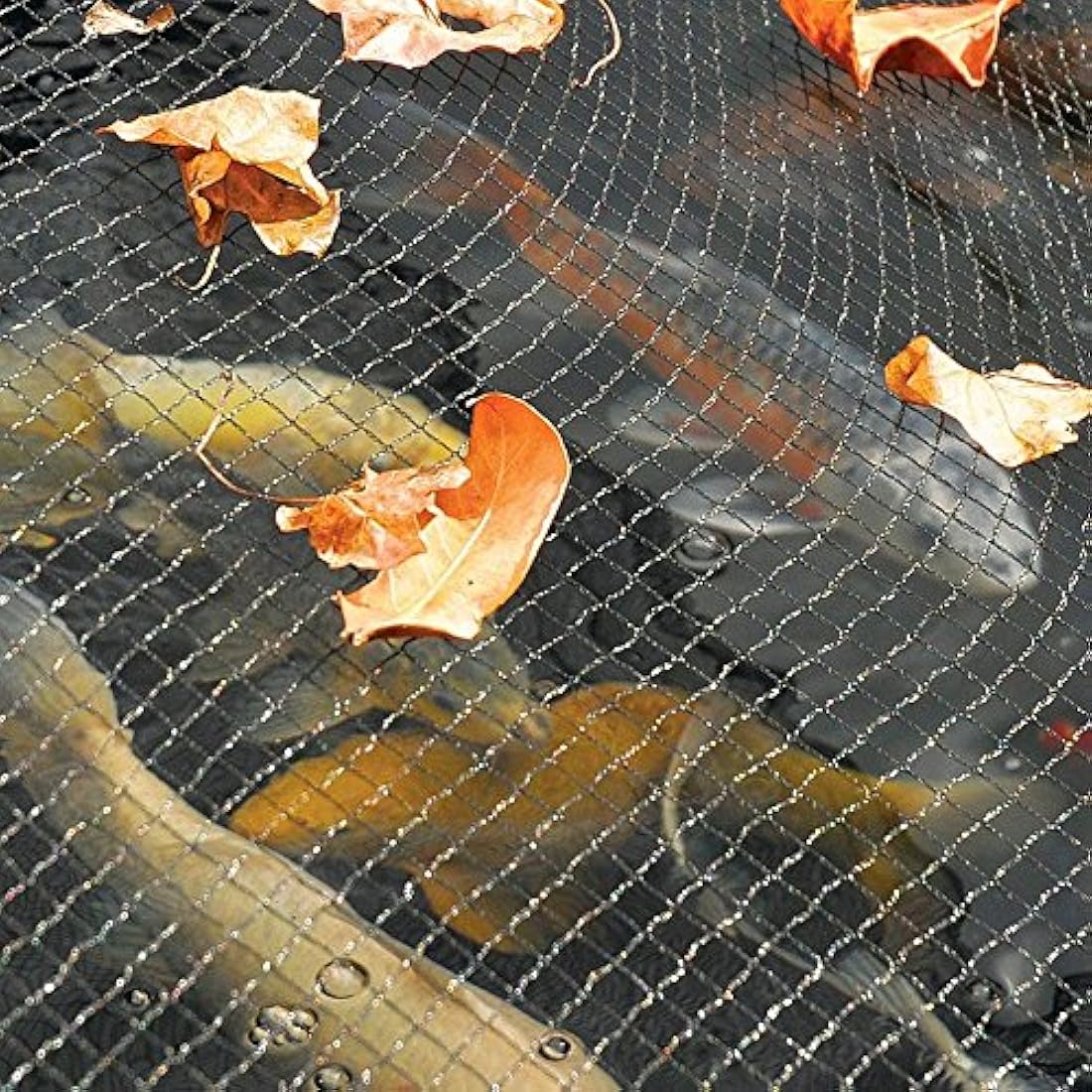 Hozelock Pond Protection Net – 4 x 6m Leaf Guard with 6 Stakes