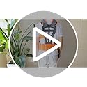 Jolof Store Universal Adjustable Strimmer Harness | Padded Nylon Strap
