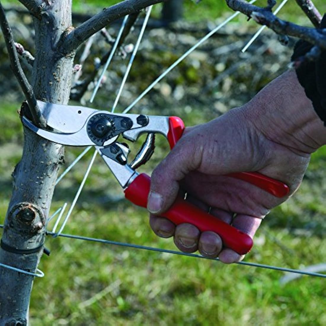 Felco 7 Professional Pruning Secateurs - Ergonomic Rotating Handle