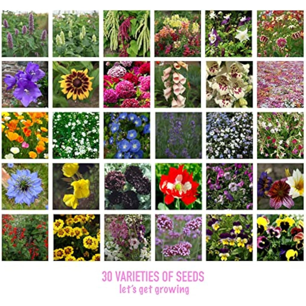 Scott&Co. Flower Seed Variety Pack | 30 Varieties for Bees & Butterflies