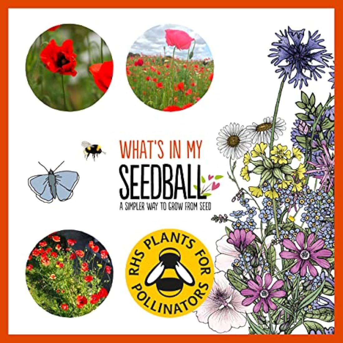 Seedball Red Poppy Seed Bombs – 100 Pack Peat-Free Wildflower Seeds
