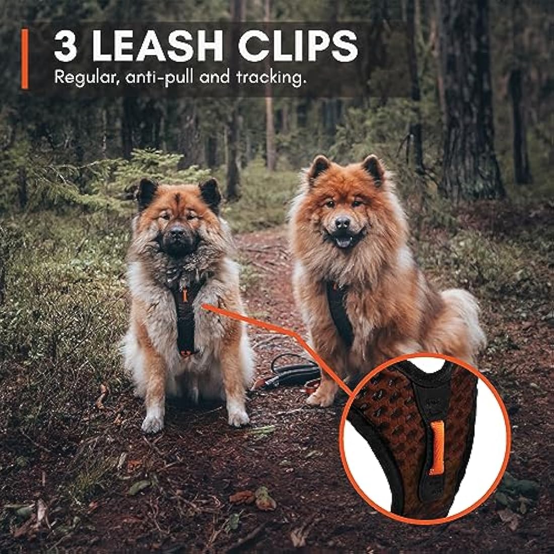 Rock Climbing Harness - Small Safety Gear for Outdoor Sports