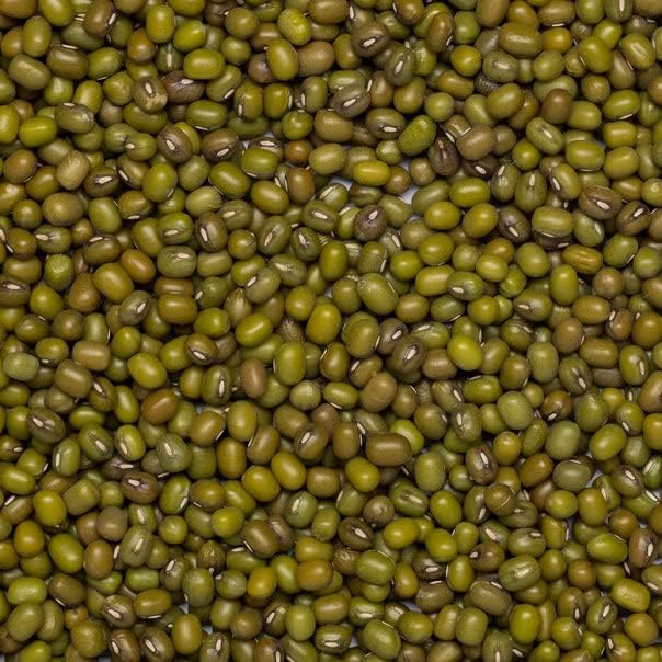 Wholefood Earth Organic Mung Beans – 3kg High Protein Vegan Legumes