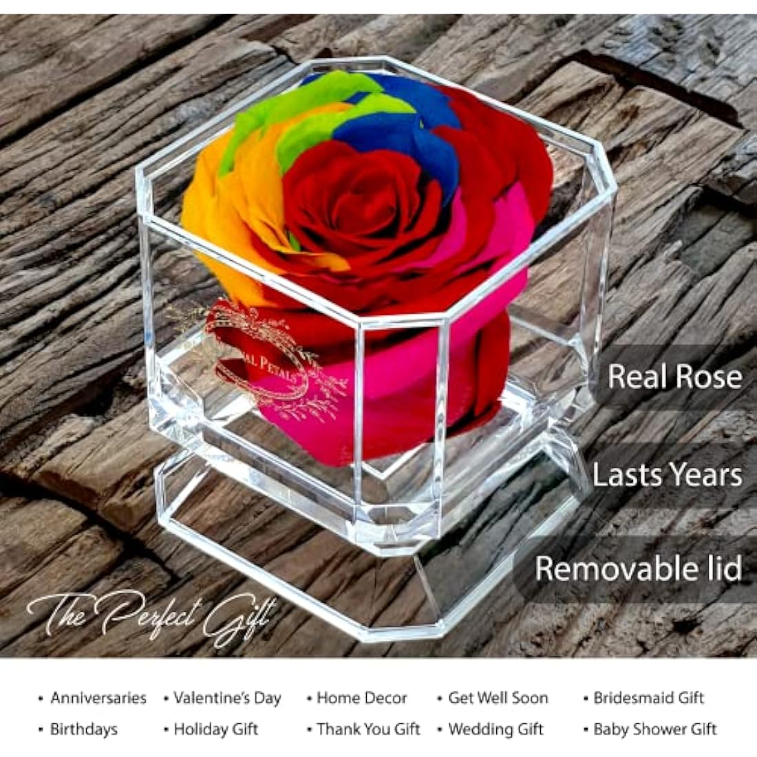 Eternal Petals Rainbow Preserved Infinity Rose – Handmade Gold Solo Box