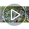Walensee Pole Saw for Tree Trimming – 304cm Stainless Steel Manual Pruner