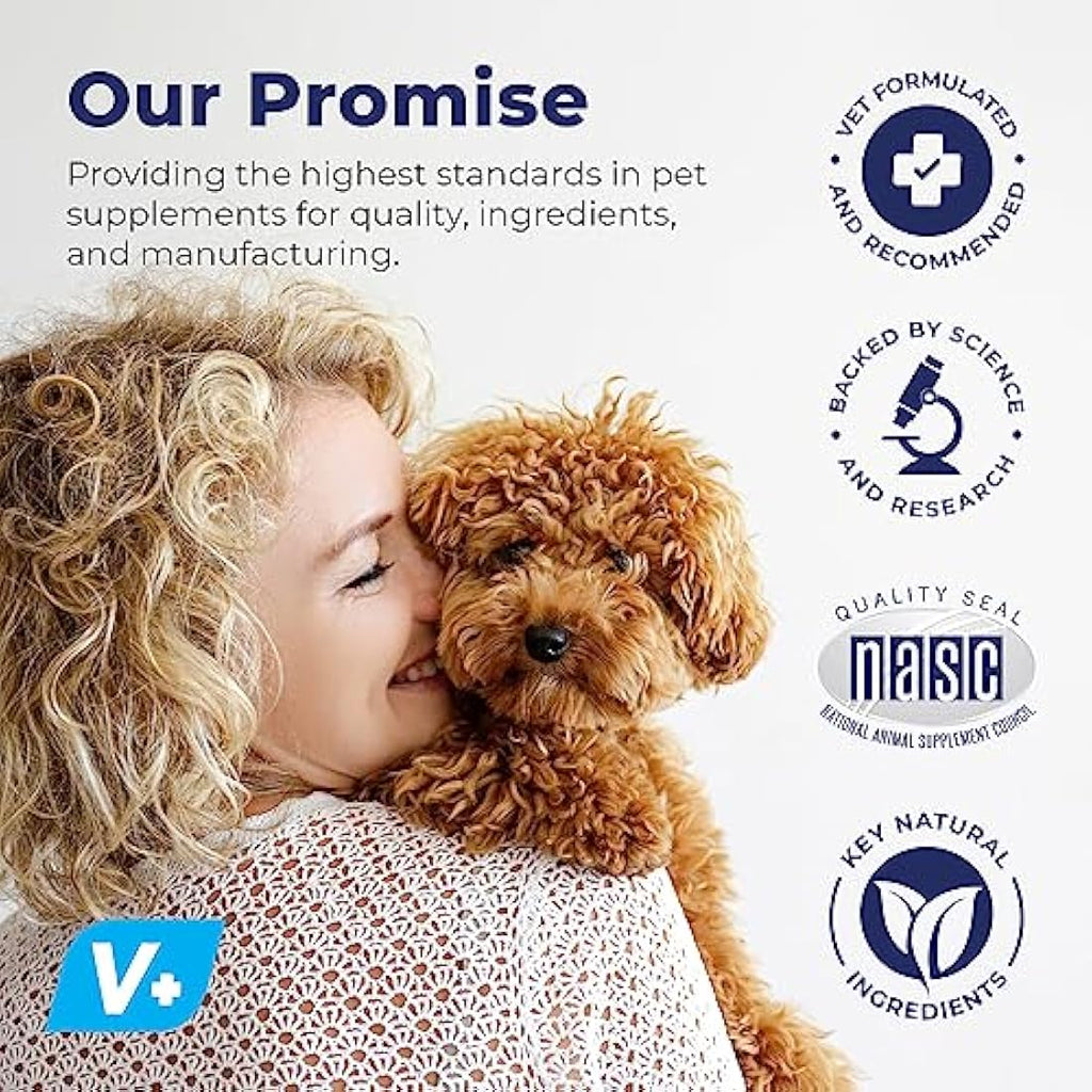 Glandex Anal Gland Fiber Supplement Powder for Dogs & Cats - Pumpkin (114g)