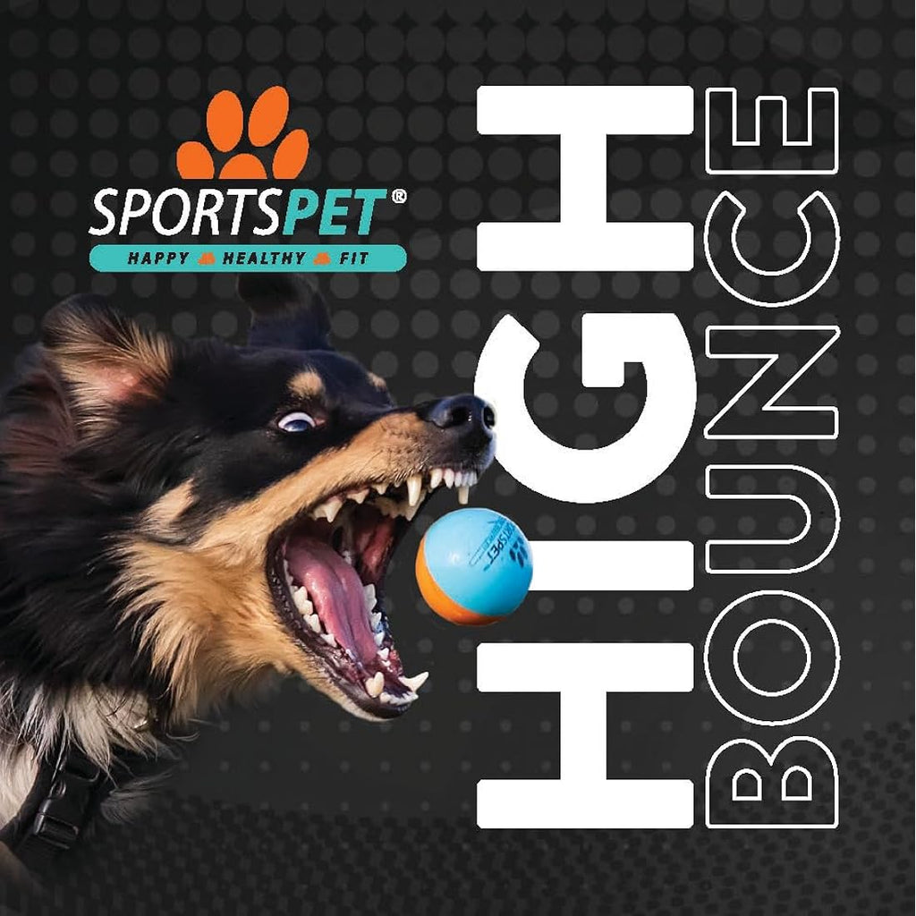 SPORTSPET High Bounce Natural Rubber Dog Balls – 6 Pack Floating Fetch Toys