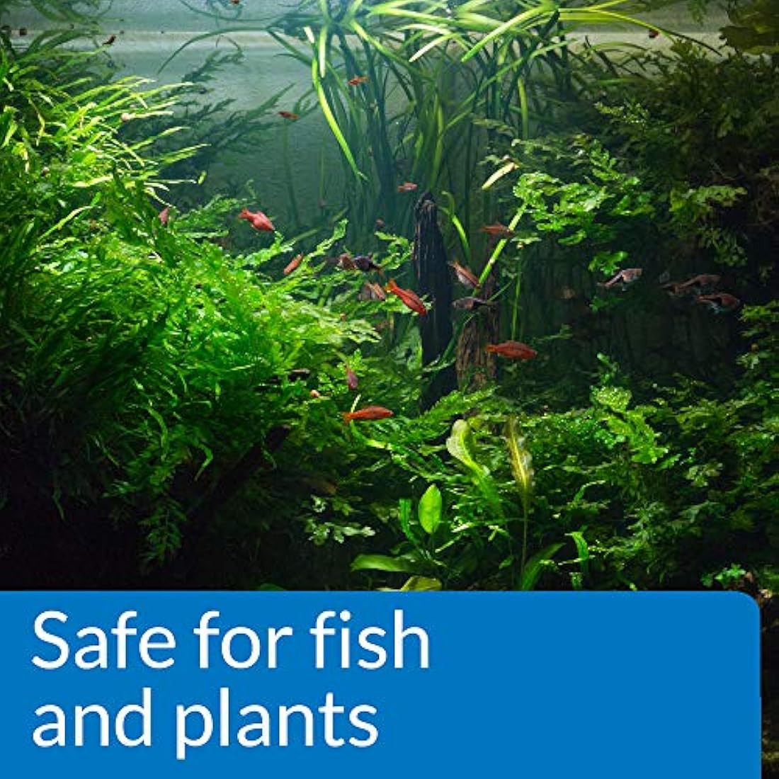 API pH DOWN Freshwater Aquarium Water pH Reducing Solution - 118 ml