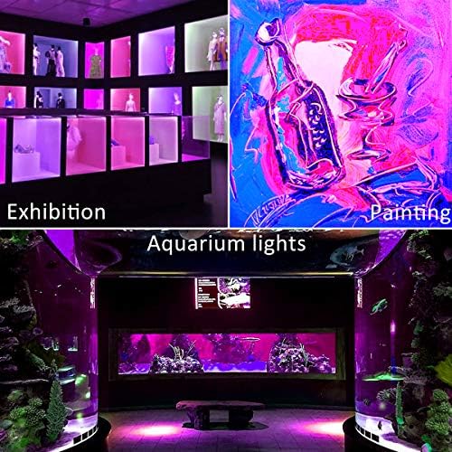 NATPOW 100W UV Black Light – IP66 Waterproof LED Floodlight (2 Pack)