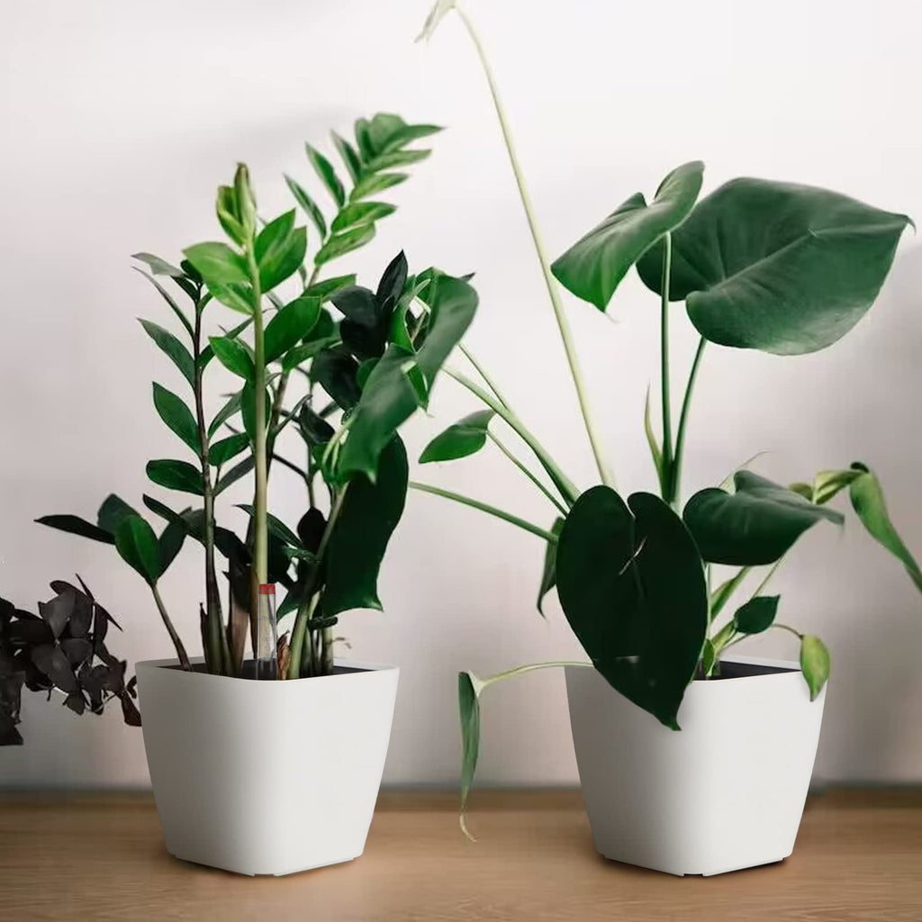 Jolof Store Self-Watering Pots with Water Level Indicator - 6 Pack