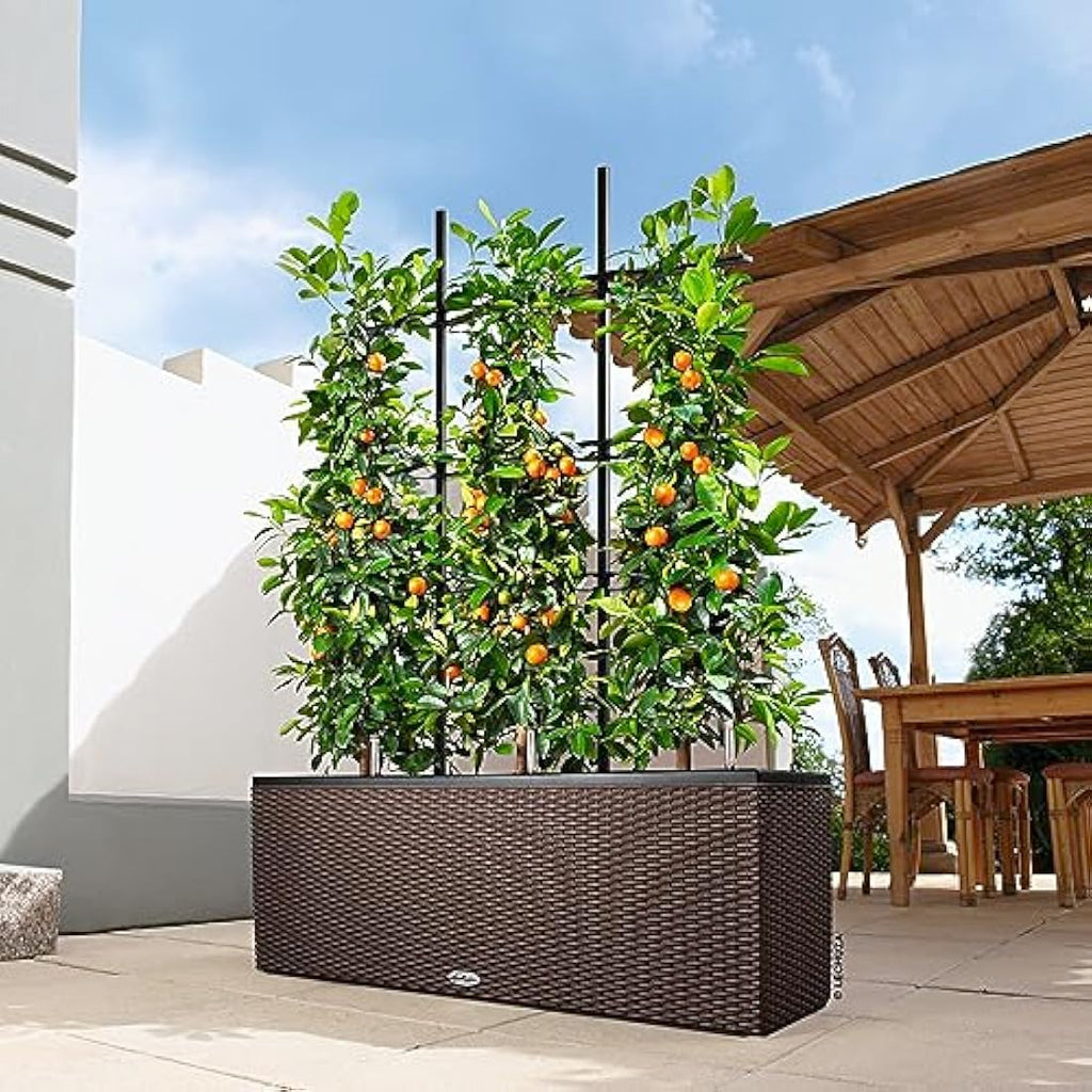Lechuza Trio Cottage 30 Self-Watering Planter - Mocha Wicker Look