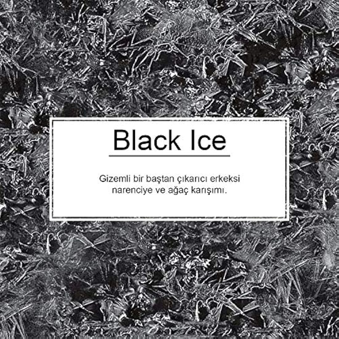 Little Trees Black Ice Air Freshener - Hanging Car Fragrance - 24 Pack