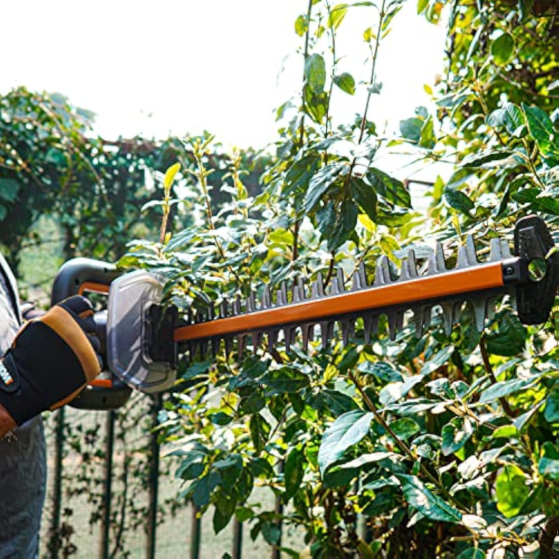 Worx Nitro 20V Brushless Cordless Hedge Trimmer – 54cm (Tool Only)