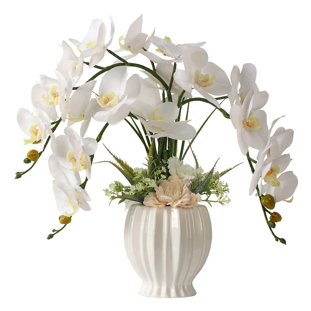 Real Touch Artificial White Orchid in Ceramic Vase - 15.5"