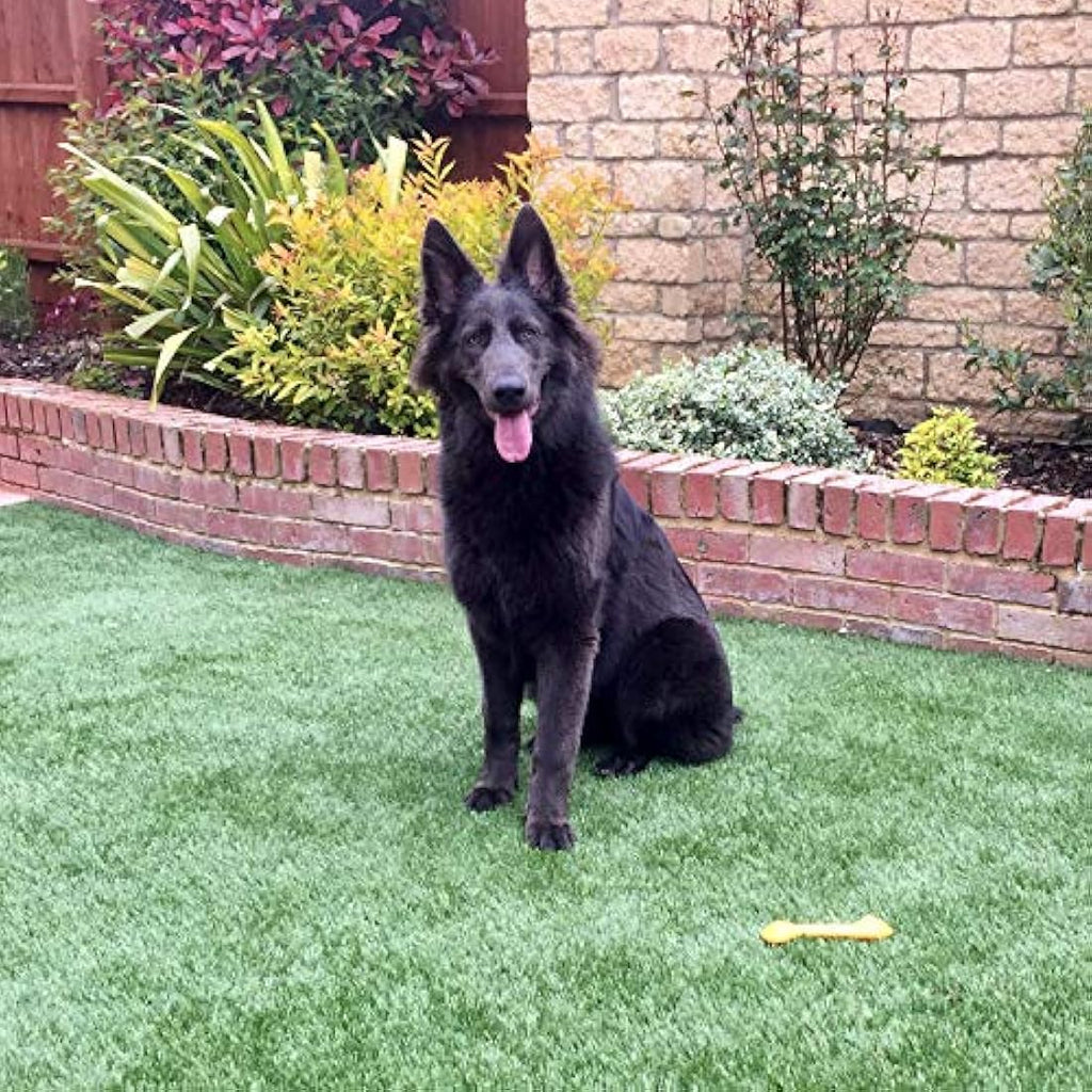 Wee Free Artificial Grass Cleaner & Pet Odour Eliminator - 5L Citrus