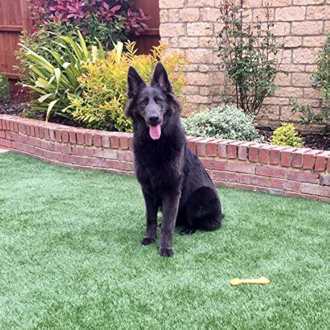 Wee Free Artificial Grass Cleaner & Pet Odour Eliminator - 5L Citrus