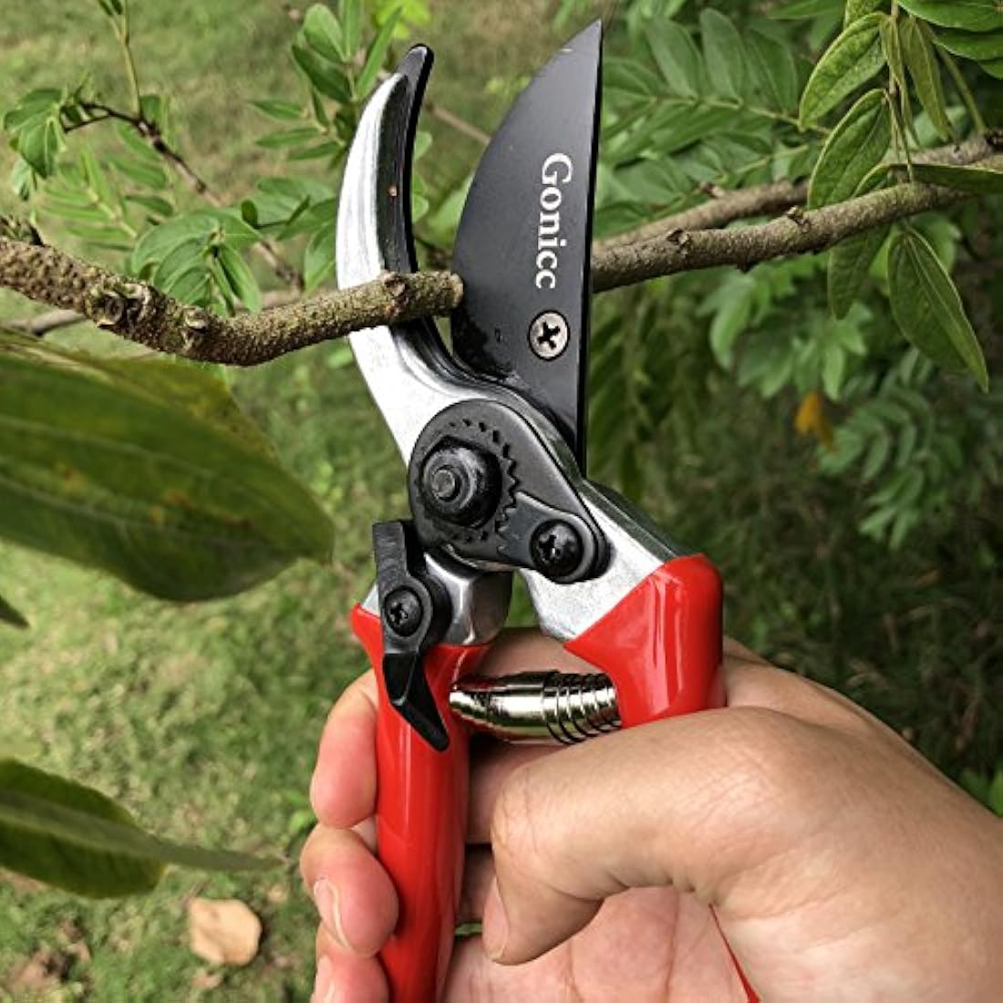 Gonicc 8" Professional Bypass Pruning Shears – High Carbon Steel Pruners