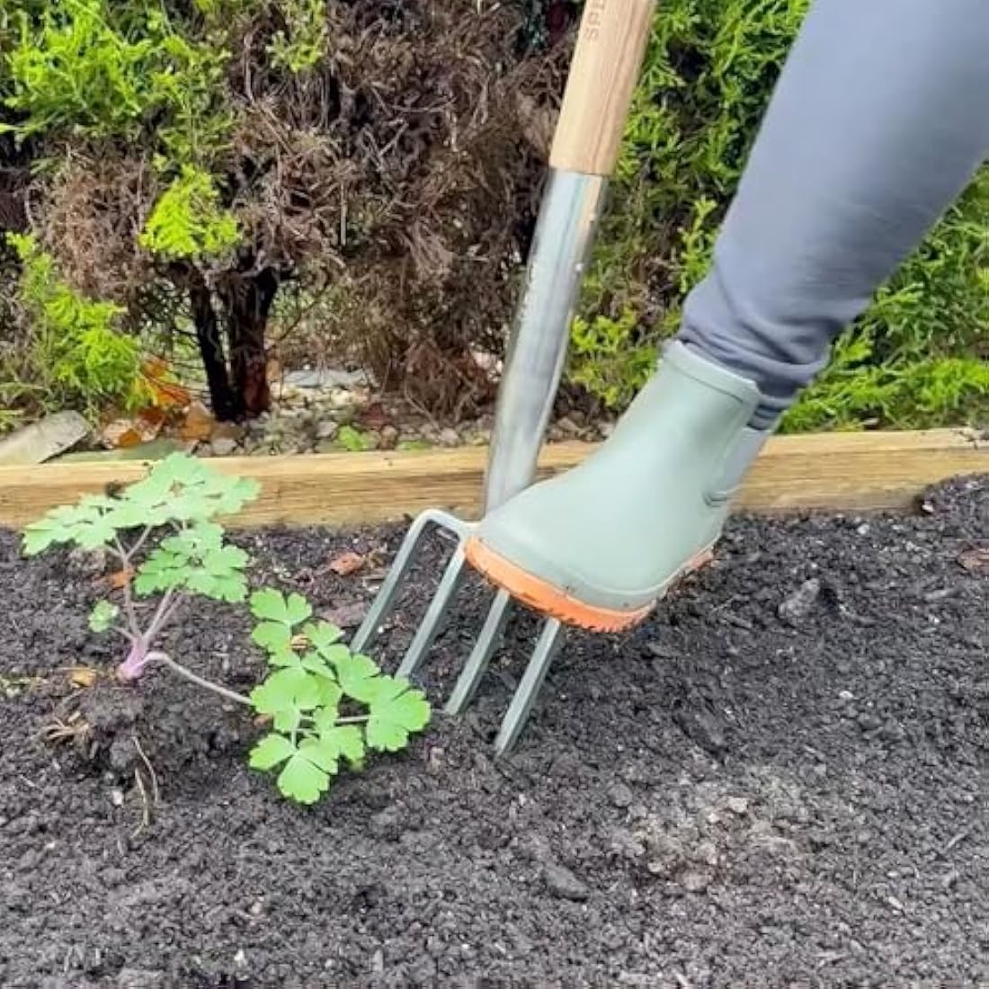 Spear & Jackson Border Fork – Stainless Steel & Hardwood Garden Tool