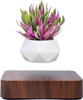 Jolof Store Magnetic Levitating Air Bonsai Pot – Rotating Floating Planter