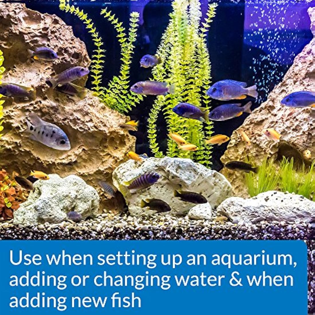 API Stress Coat Aquarium Water Conditioner with Aloe Vera, 30 ml