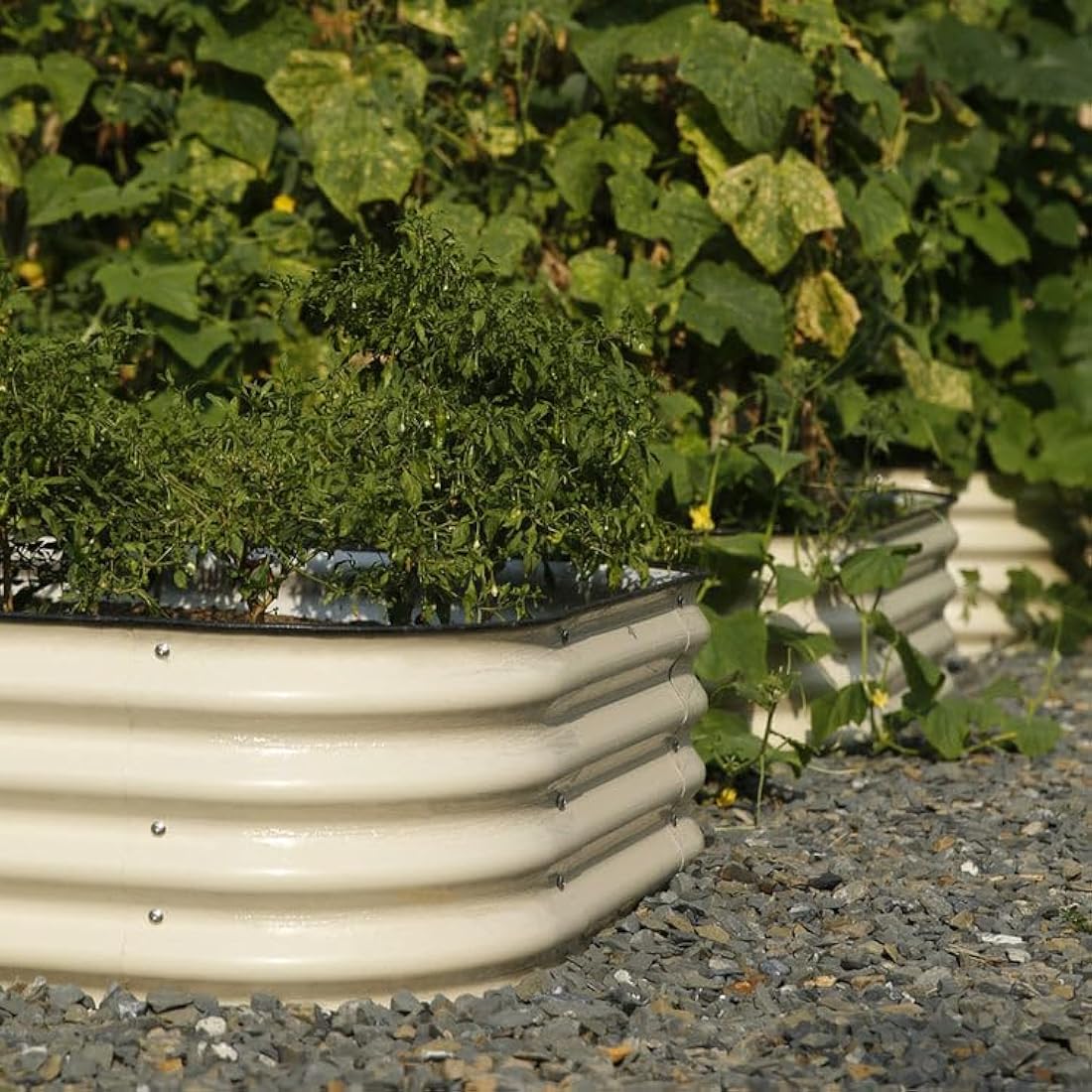 Byhagern Galvanized Raised Garden Bed – Anti-Rust Metal Planter, Beige