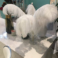 Sowder 14-16" White Ostrich Feathers Plume for Wedding Decor - 10 Pack
