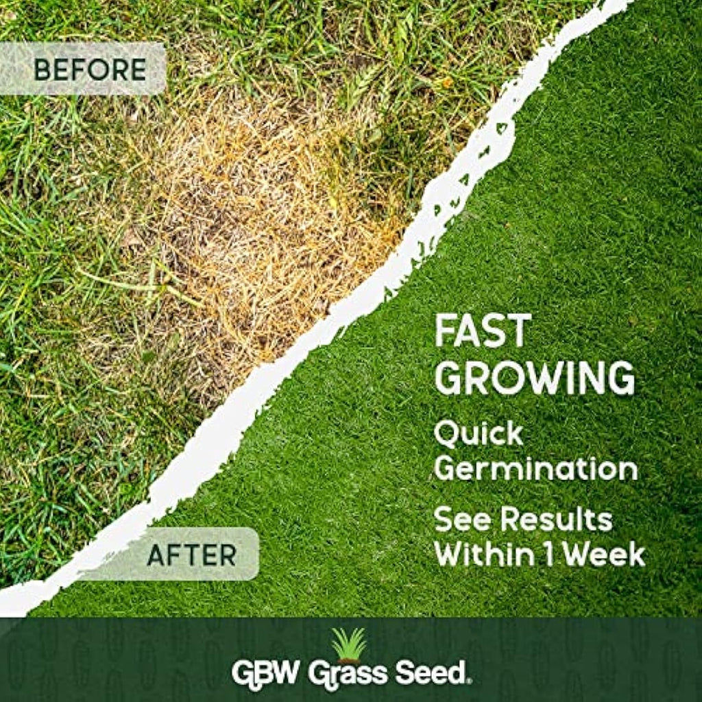 GBW Grass Seed 1kg | Hard Wearing & Fast Growing UK Lawn Seed Mix