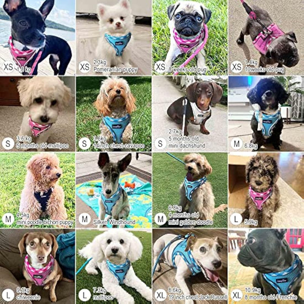 No Pull Dog Harness and Lead Set | Reflective Mesh Vest