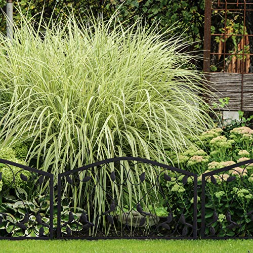 Relaxdays Garden Edging – 4 Piece Iron Flowerbed Border Fence, Black