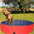 lionto Foldable Dog Pool – 120cm Scratch-Resistant PVC Pet & Kids Pool