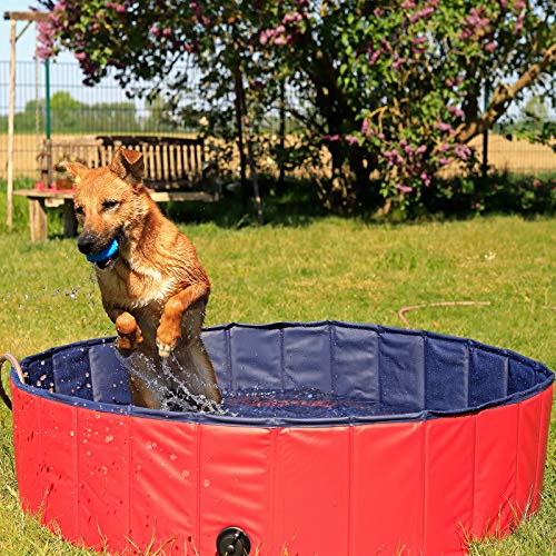 lionto Foldable Dog Pool – 120cm Scratch-Resistant PVC Pet & Kids Pool