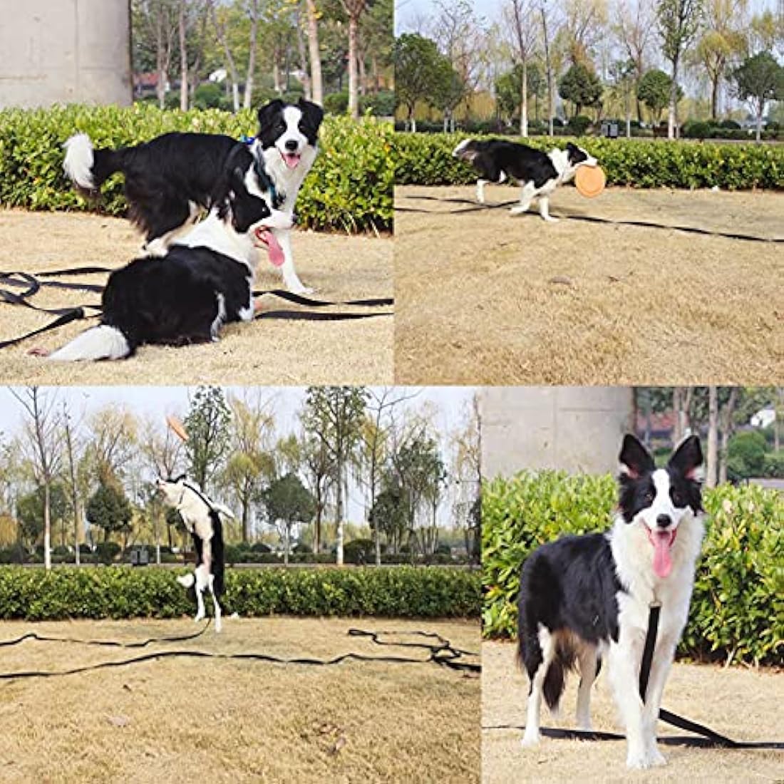 NavoX 20m Nylon Long Dog Training Lead – Black Recall Leash for Puppies