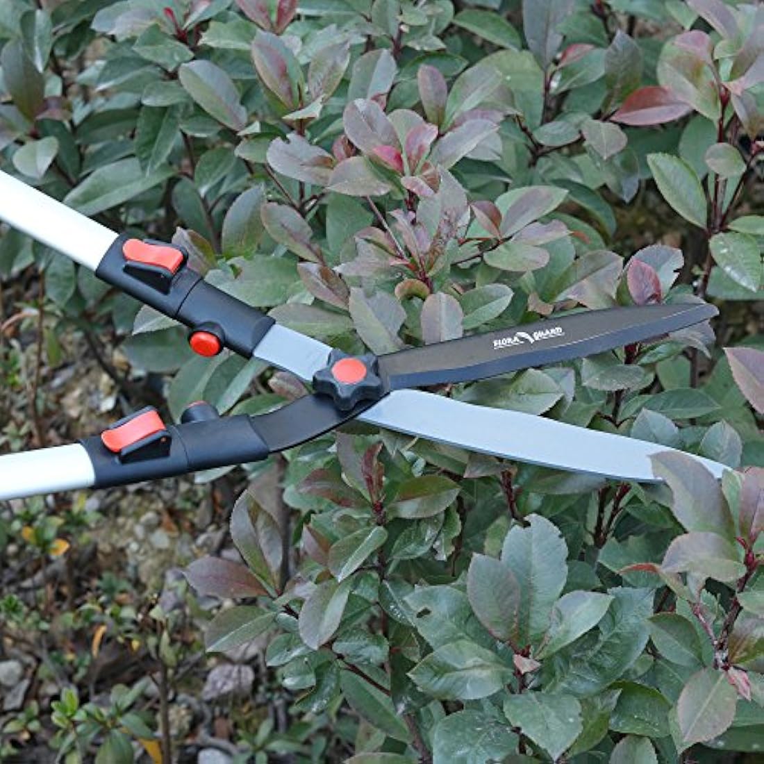 FLORA GUARD Telescopic Hedge Shears – Extendable SK5 Carbon Steel
