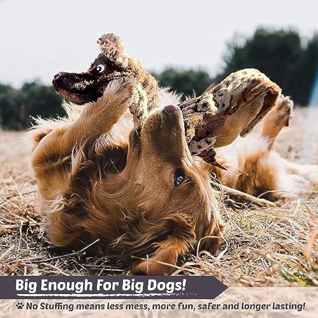 Stuffing Free Squeaky Dog Toys – 5 Pack Durable Plush Animals