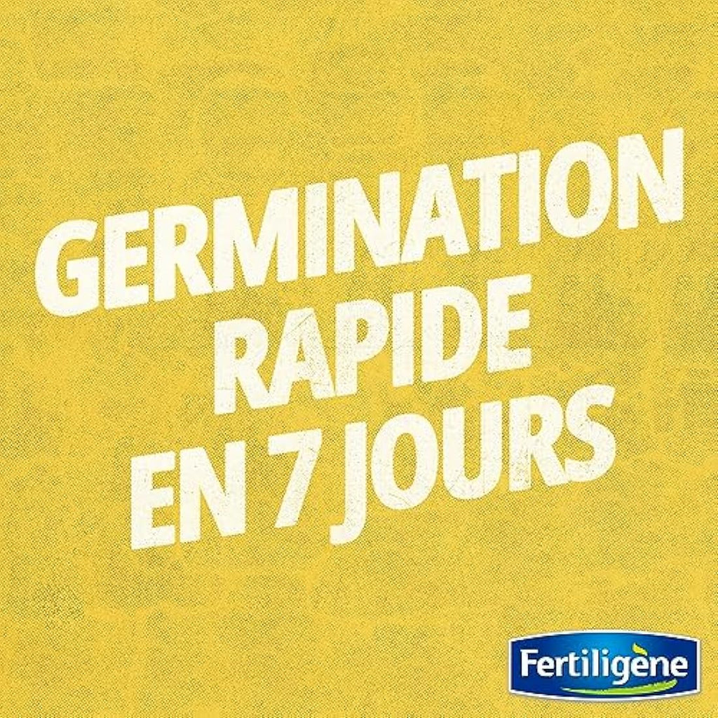 Fertiligene Gazon Rustique Universel - Semences Pelouse 35m²