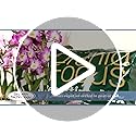 Growth Technology Orchid Focus Repotting Mix – Peat-Free Bark, 3L