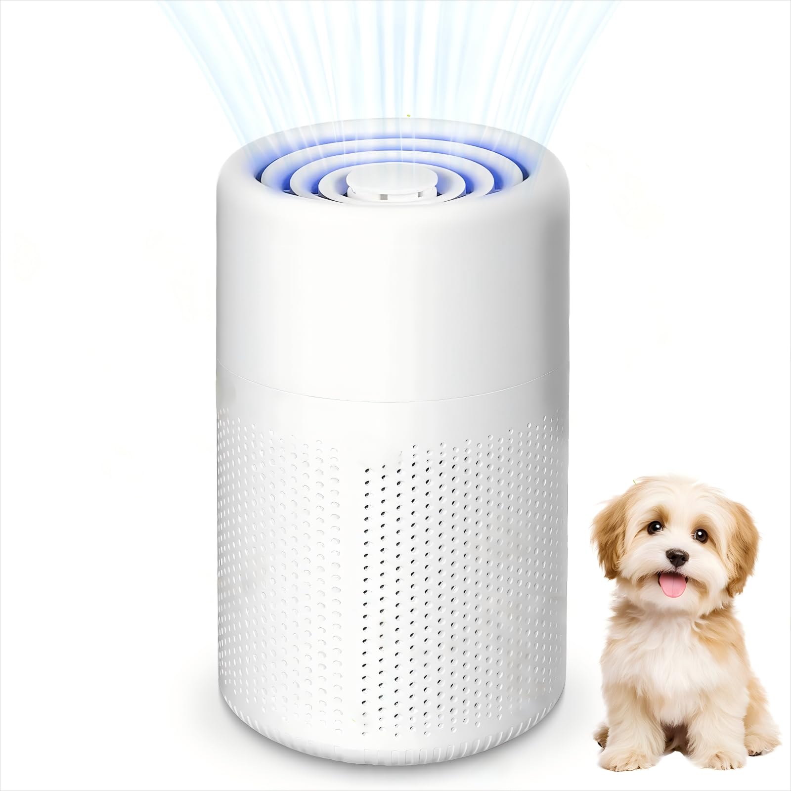 HEPA Air Purifier – Portable USB Cleaner with Aromatherapy