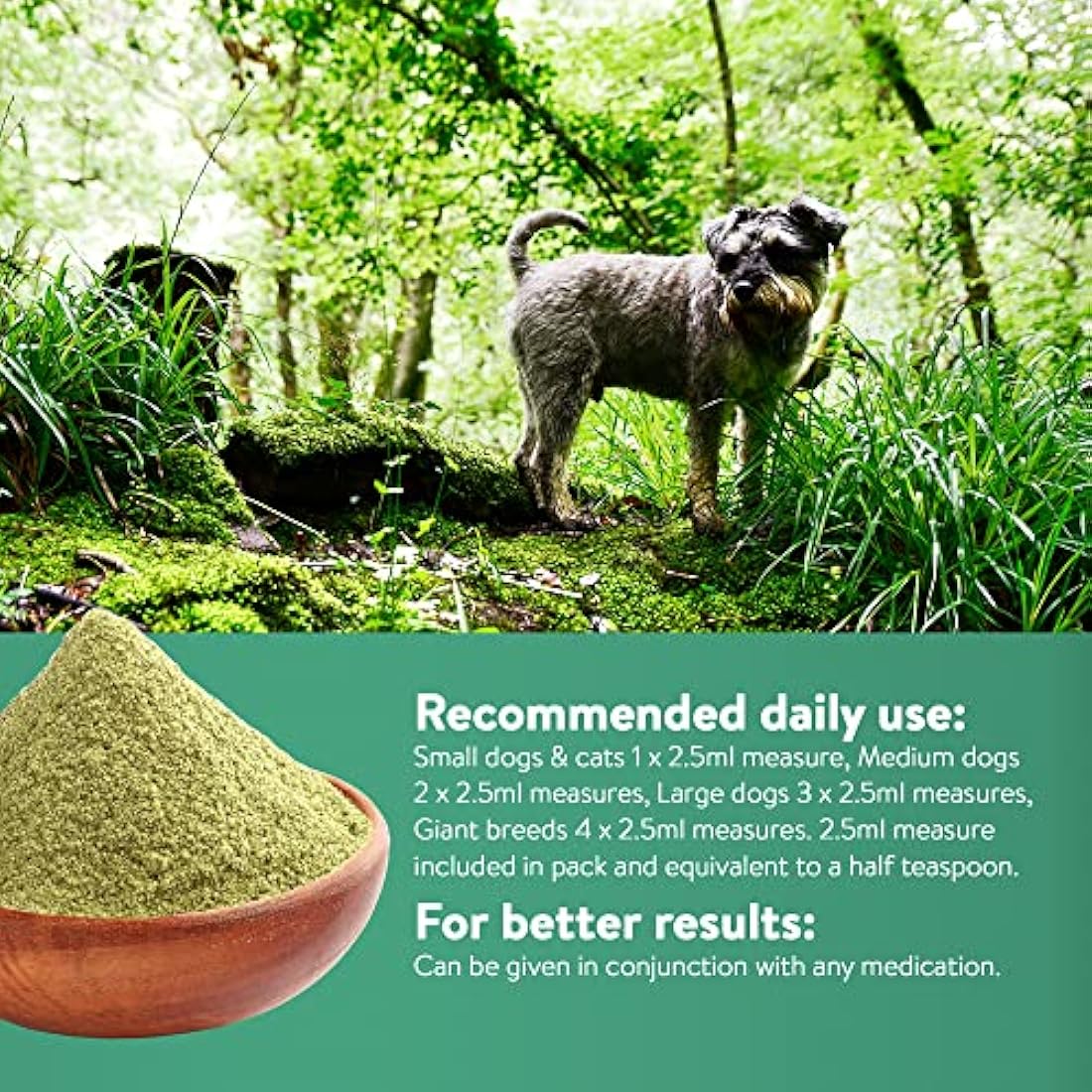 Dorwest Herbs Easy-Green Powder 1kg | Raw Diet Supplement for Dogs