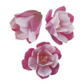 Dekora Edible Pink Magnolia Flowers for Cake Decoration - 6 Pack